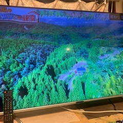 GREEN HOUSE 50型液晶テレビ 型50Vグリーンハウス GH-TV50CGE-BKの画像