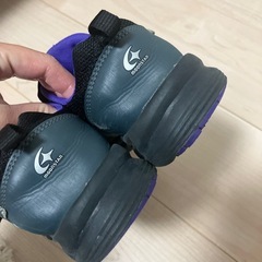 【募集中】【近日中処分予定】ムーンスター　キッズスニーカー　19.0センチの画像