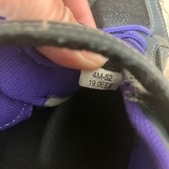 【募集中】【近日中処分予定】ムーンスター　キッズスニーカー　19.0センチの画像