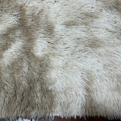 カーペットの画像