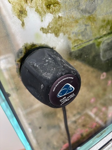 【海水魚、サンゴ】　レッドシー水槽セット