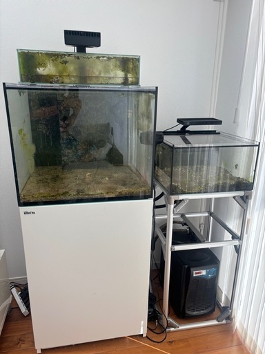 【海水魚、サンゴ】　レッドシー水槽セット