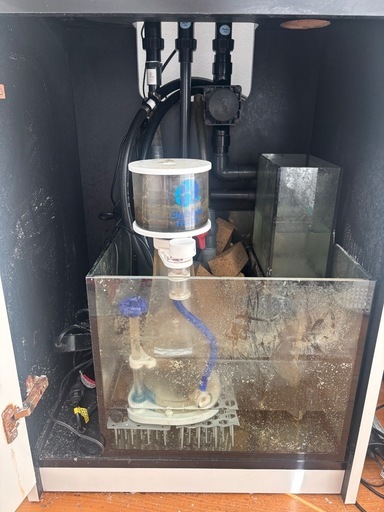 【海水魚、サンゴ】　レッドシー水槽セット