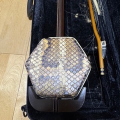  二胡、チューナー等 (ジャンク品)の画像