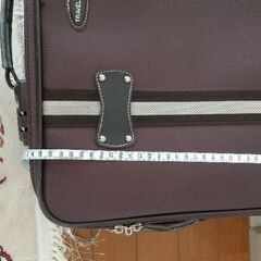 キャリーバッグ　飛行機持ち込み可能サイズの画像