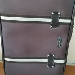 キャリーバッグ　飛行機持ち込み可能サイズの画像