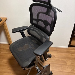 エルゴヒューマンプロ（高機能オフィスチェア）の画像