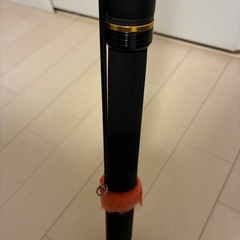 Daiwa(ダイワ)ラテオ　96M シーバスロッドの画像