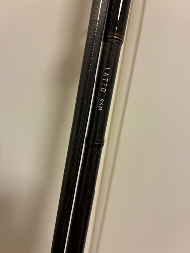 Daiwa(ダイワ)ラテオ　96M シーバスロッド