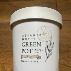 ハーブ 多年草の画像