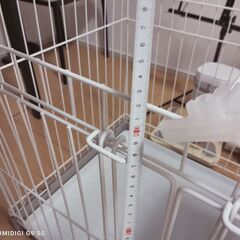 小型犬用　ケージ　０円　お引き取り限定　小牧市よりの画像