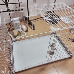 小型犬用　ケージ　０円　お引き取り限定　小牧市よりの画像