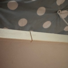 折りたたみテーブル6045 whの画像