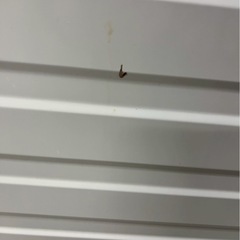 【分解清掃済み】東芝ドラム式洗濯機TW-117V9L 2020年製　洗濯11kg乾燥7kgの画像