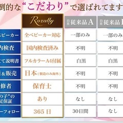 ベビーカー　二人乗り　ベビーカーステップ　の画像