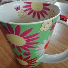 DUNOON  SALSA  花柄マグカップの画像