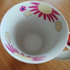 DUNOON  SALSA  花柄マグカップの画像