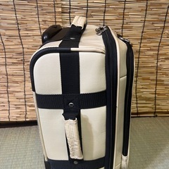 【レア】CONVERSE CHUCK TAYLOR キャリーバッグ中古　ALL STAR 機内持ち込みサイズ　コンバースの画像