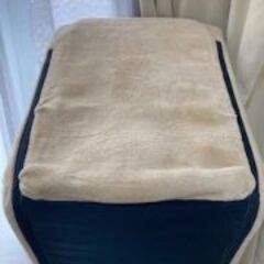 リクライニング座椅子の画像