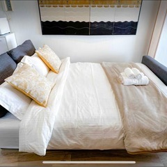 IKEA 3P ソファベッド Friheten
の画像