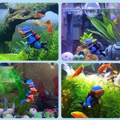 新品　アクアリウム 水槽用装飾 5点セットの画像
