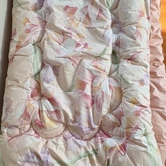 敷布団と掛け布団のセットの画像