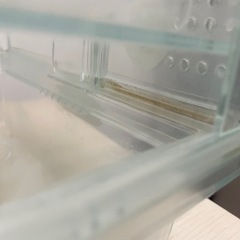 小動物飼育ケージGEX グラスハーモニー360の画像