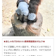 犬用紙オムツ　女の子用 sサイズ8枚の画像