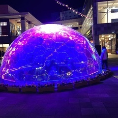 人生２周目現象の研究