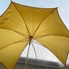 ジャンプ傘 55cm（無地）の画像