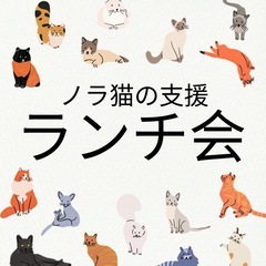 のら猫の支援１２月