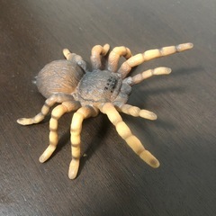 ヘビ・カエル・クモ　⭐︎フィギュア3点⭐︎の画像