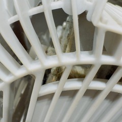 サーキュレーター 中古品の画像