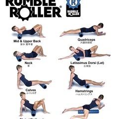  【美品】ランブルローラー ハードタイプミドルサイズの画像