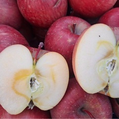 訳ありリンゴ【サンフジ】
の画像