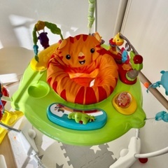 レインフォレスト ジャンパルーII の画像