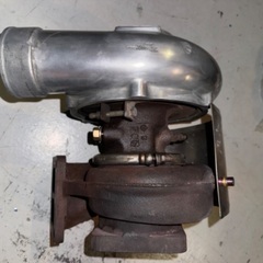 T78-33D トラスト　タビーンの画像