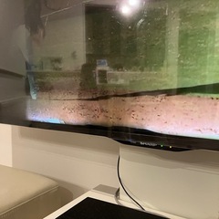 SHARP AQUOS 60インチテレビ　ジャンク　2019購入　禁煙の画像