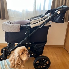 ピッコロカーネ　外に一度のみ使用の画像