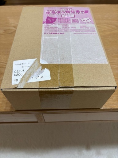 新品・未開封 レイジングサーフ 1BOX 
