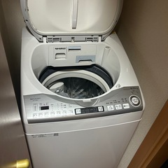 SHARP 縦型洗濯機 8kgの画像