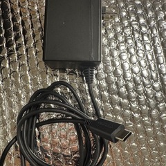 Switch 純正充電器の画像
