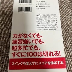 勝間和代の頭だけで100を切るゴルフ : 120の腕前なのに80台で回るの画像
