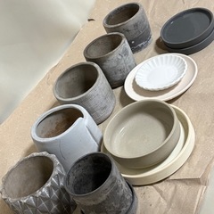 小さな植木鉢　多肉　ポット　受け皿
の画像