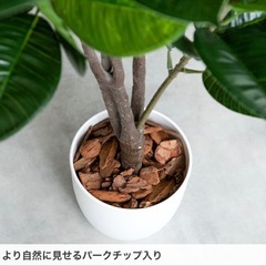 【造花】パキラ　フェイクグリーン　90cmの画像