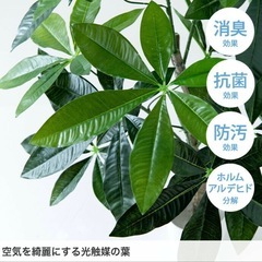 【造花】パキラ　フェイクグリーン　90cmの画像