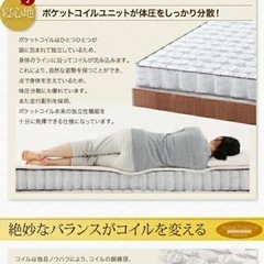 【無料・美品】ショート丈分割式脚付きマットレスシングルベッドの画像