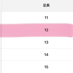 ファーストシューズ   スリッポンスニーカー12-12.5cmの画像