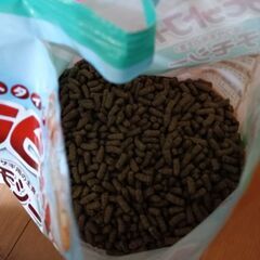 ラビットフードの画像