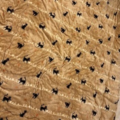 【予約中】かわいい黒猫柄のふわふわ毛布（シングル 140×200cm）　お子様にもの画像
